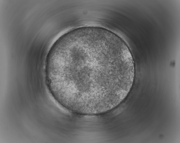 X0000112821142200909181619