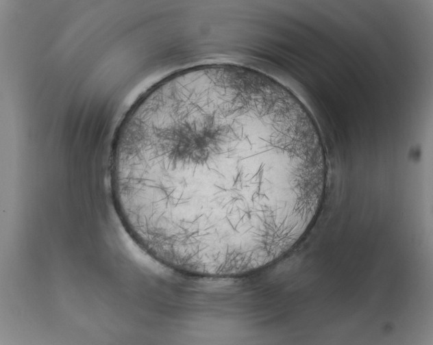 X0000112821143200909181619