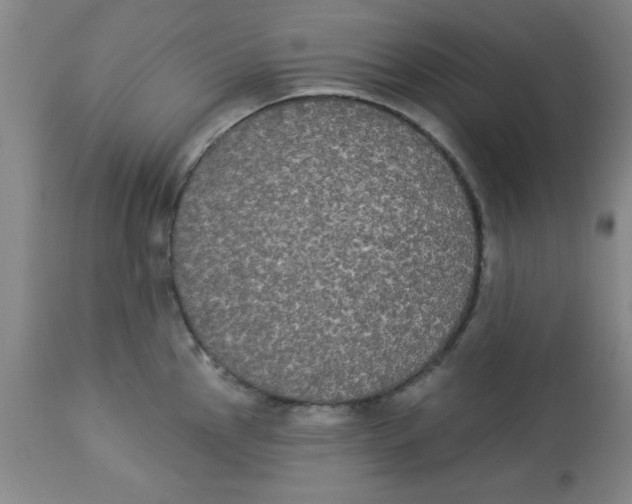 X0000112821145200909181619