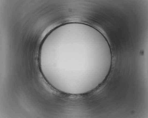 X0000112821146200909181619