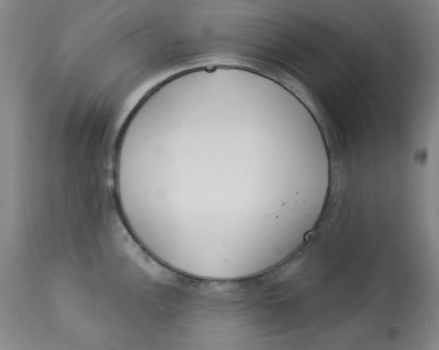 X0000112821148200909181619