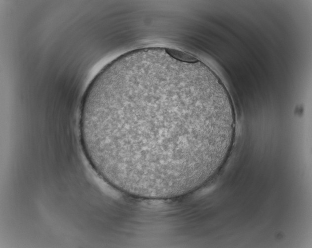 X0000112821149200909181619