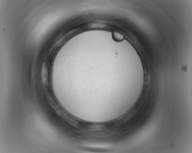 X0000112821151200909181619