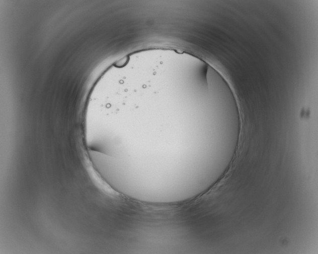 X0000112821152200909181619