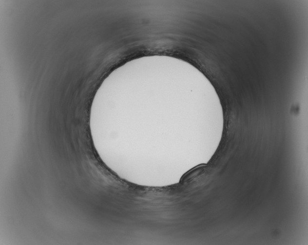 X0000112821153200909181618