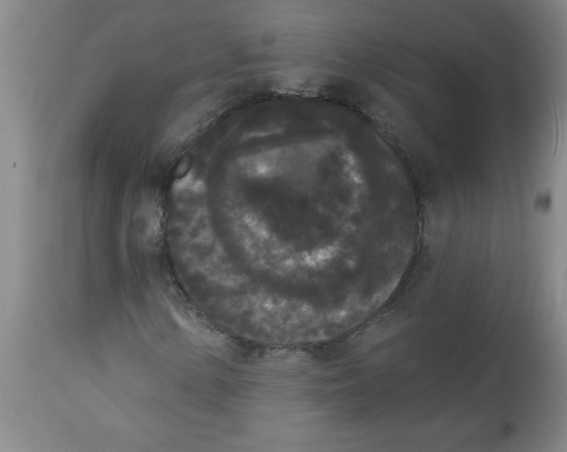 X0000112821154200909181618