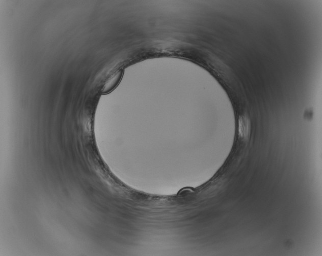 X0000112821155200909181618