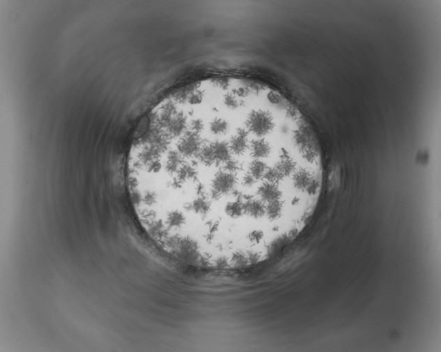 X0000112821156200909181618