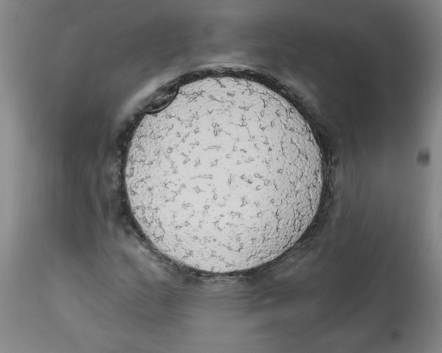 X0000112821159200909181618