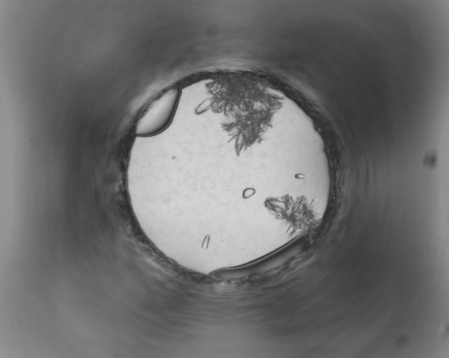 X0000112821160200909181618