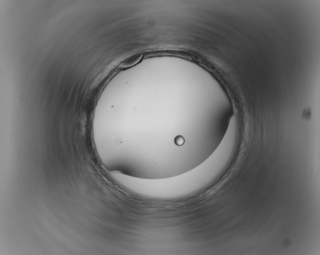 X0000112821161200909181618