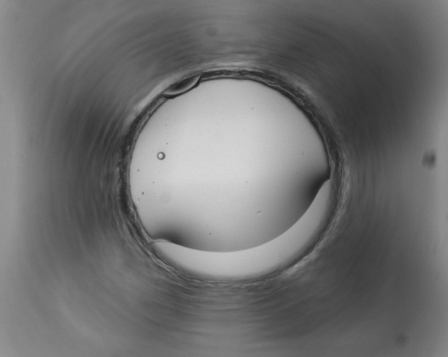 X0000112821162200909181618