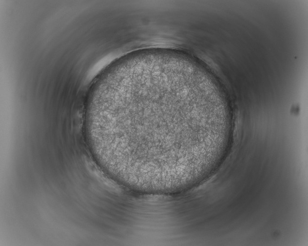 X0000112821163200909181618
