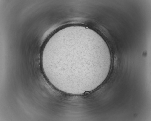 X0000112821164200909181618