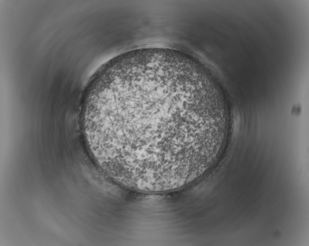 X0000112821166200909181618