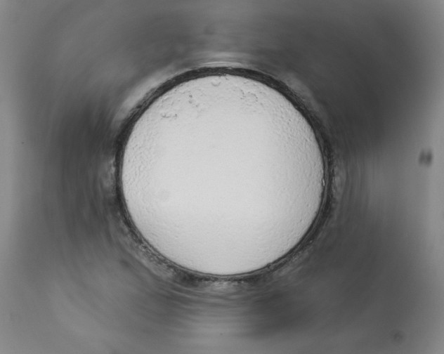 X0000112821167200909181618