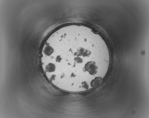 X0000112821168200909181618