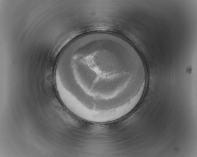 X0000112821170200909181618