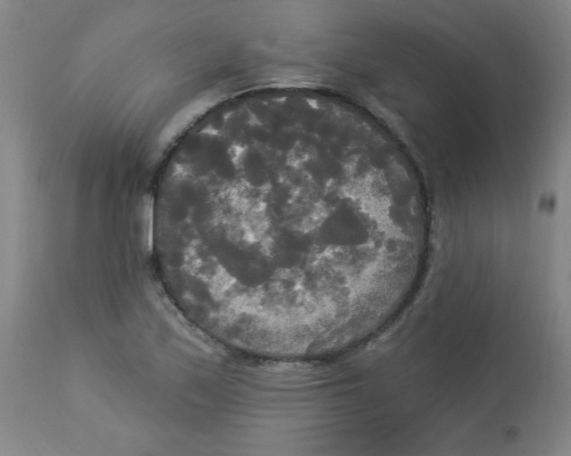 X0000112821171200909181618