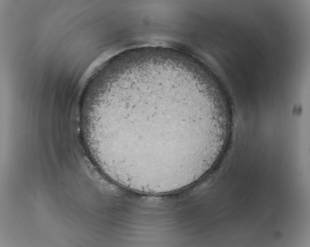 X0000112821172200909181618