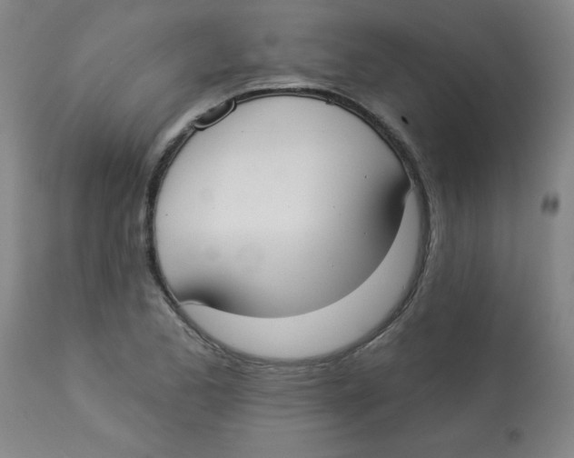 X0000112821173200909181618