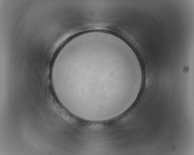 X0000112821174200909181618