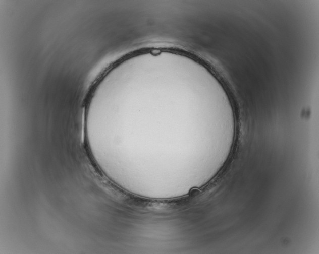 X0000112821175200909181618