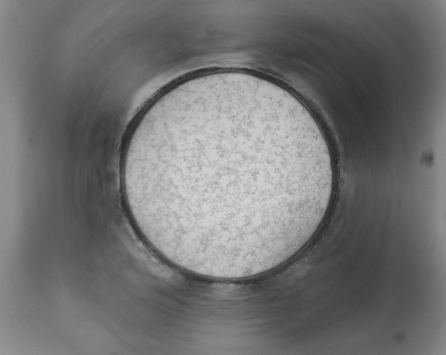 X0000112821176200909181618