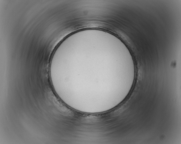 X0000112821178200909181618