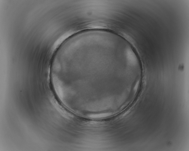 X0000112821179200909181618