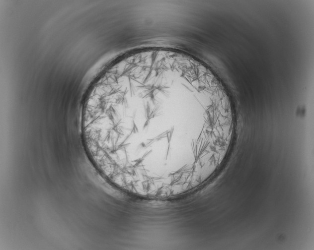 X0000112821180200909181618