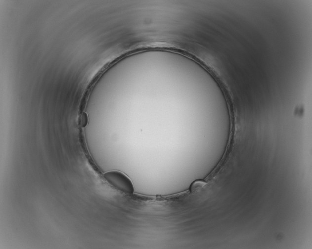 X0000112821181200909181618