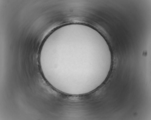 X0000112821182200909181618