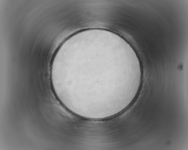 X0000112821184200909181618