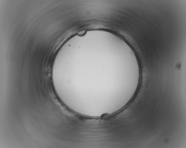 X0000112821185200909181618