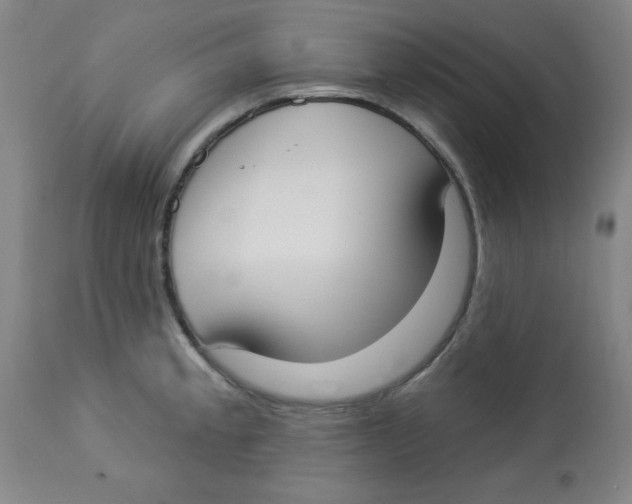 X0000112821189200909181618