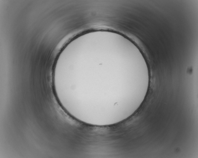 X0000112821191200909181617