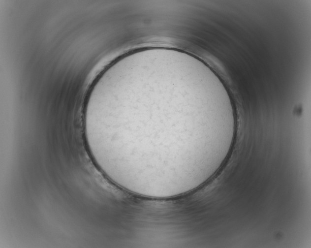 X0000112821192200909181617