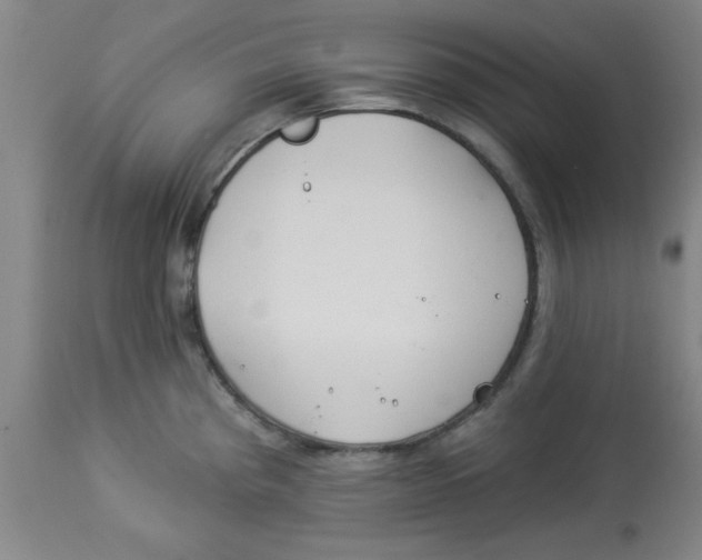 X0000112821193200909181617