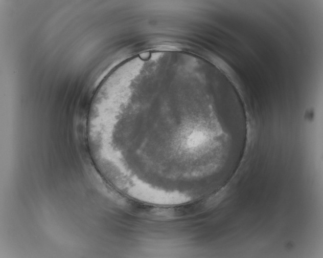 X0000112821194200909181617