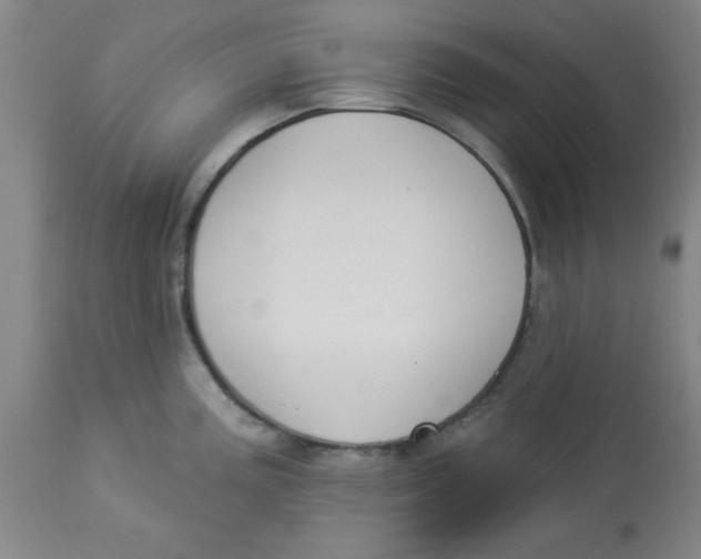 X0000112821195200909181617