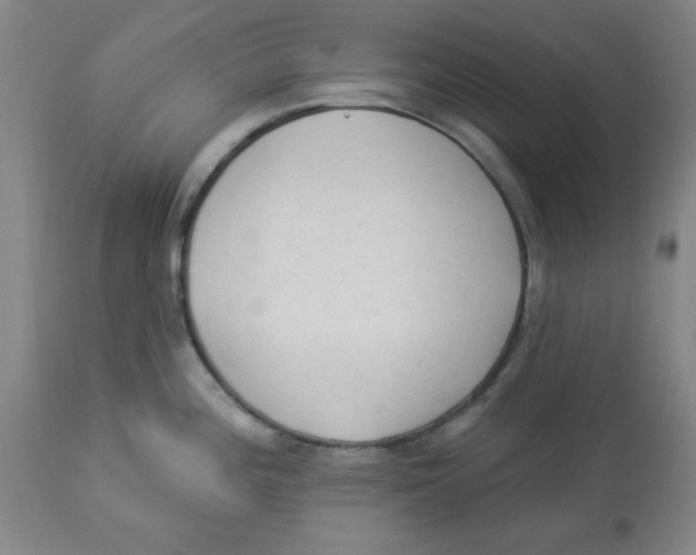 X0000112821196200909181617