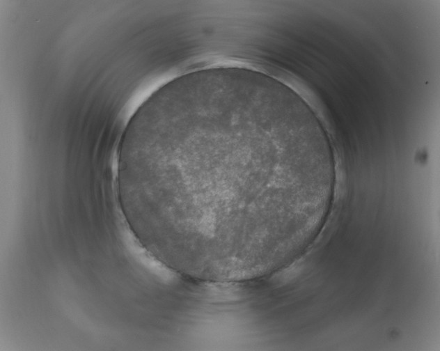 X0000112821198200909181617