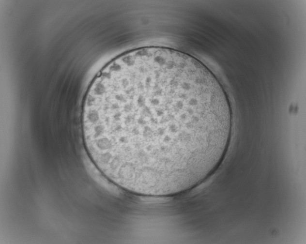 X0000112821200200909181617