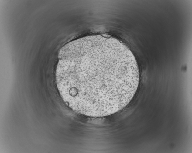 X0000112821201200909181617