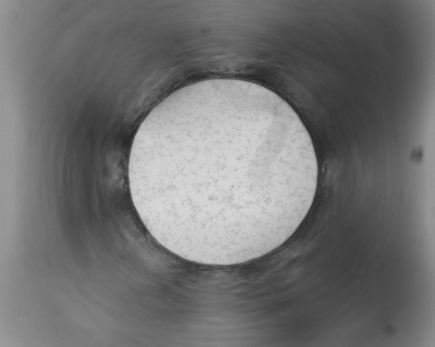 X0000112821202200909181617