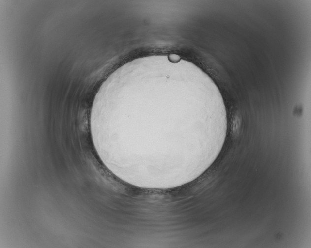 X0000112821204200909181617