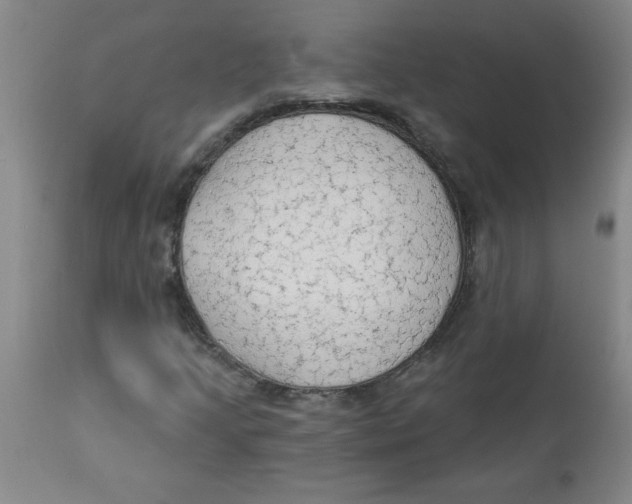 X0000112821205200909181617