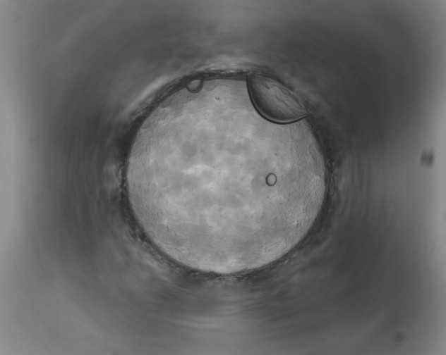 X0000112821206200909181617