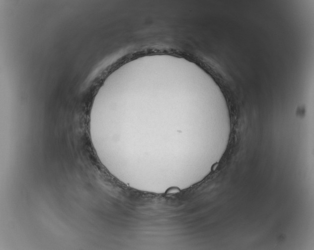 X0000112821207200909181617